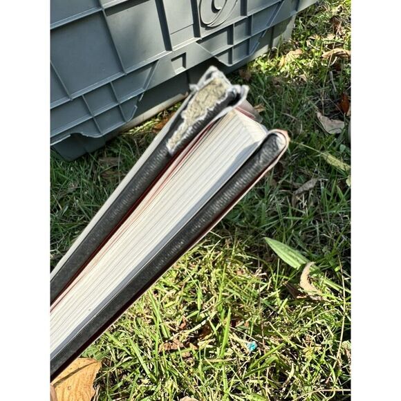 NAZI REGALIA BY E.W.W. FOWLER HARDCOVER CHARTWELL BOOKS - Picture 9 of 9